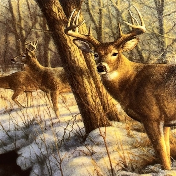 Winter’s Calm 1994 Limited Ed. Plate 16901D by Greg Alexander, Bradford Exch - Picture 4 of 11